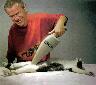 bushcat.jpg